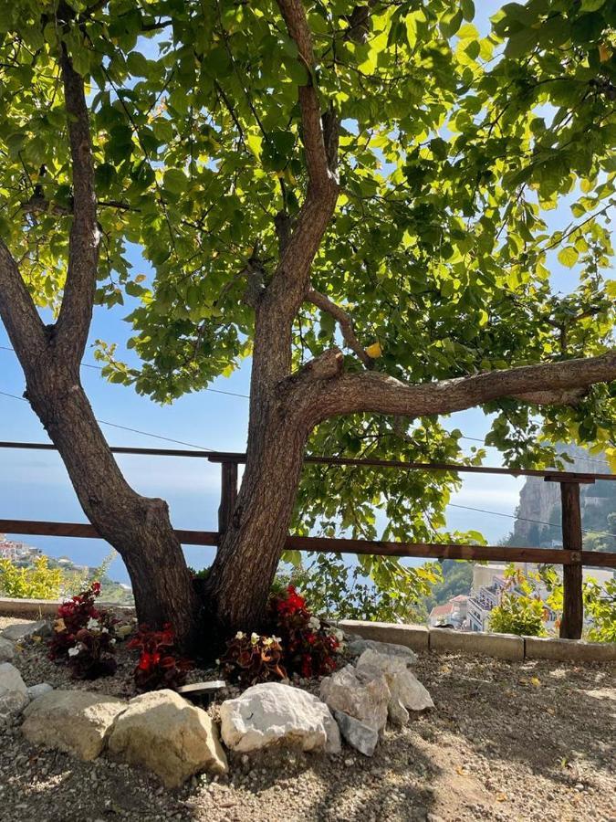 Casa Enzo Con Vista Mare Amalfi Exterior foto